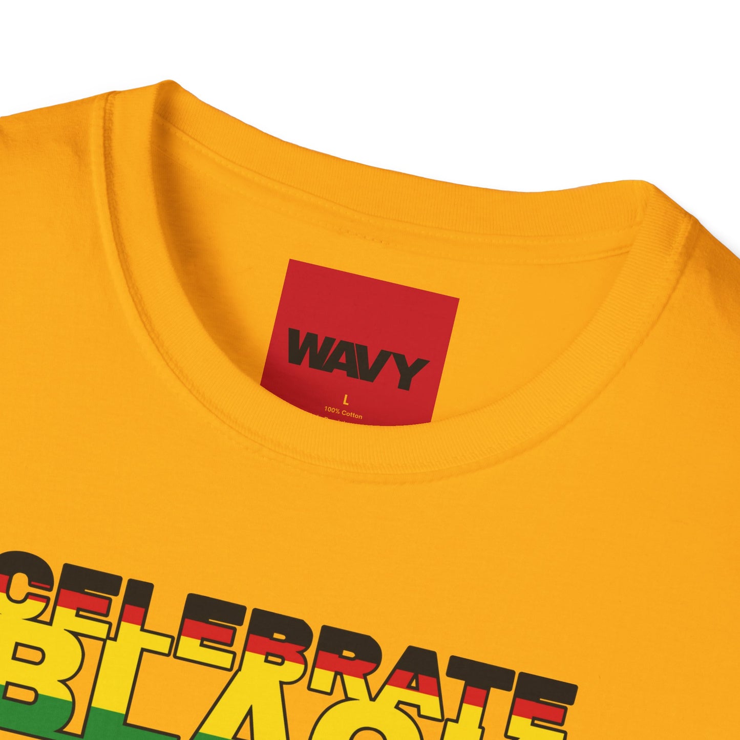 WAVY Brand Womens Black History Month Crewneck Short Sleeve Tee