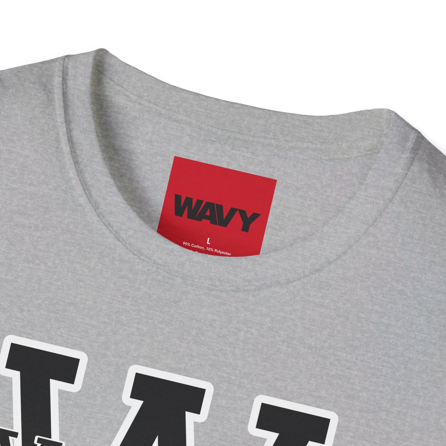 WAVY Brand University Banner Womens Crewneck Tee