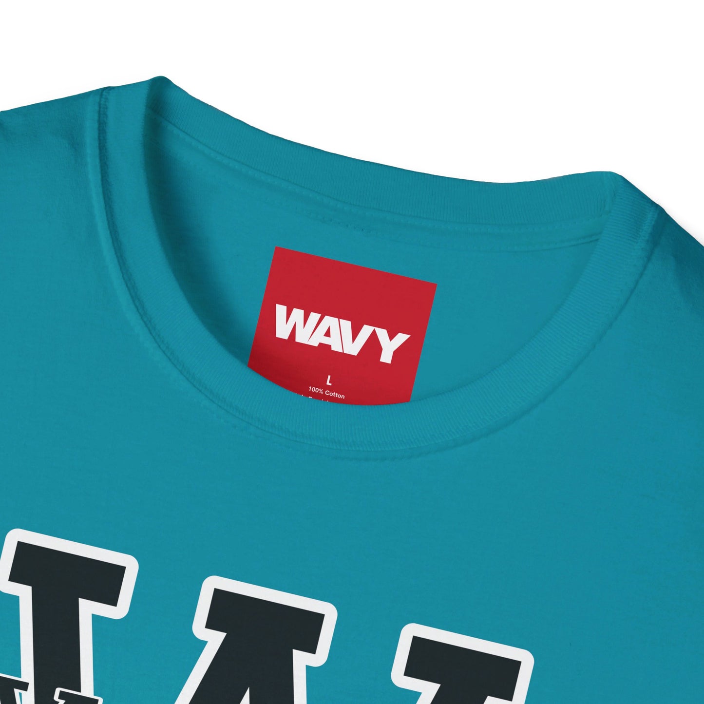 WAVY Brand University Banner Womens Crewneck Tee