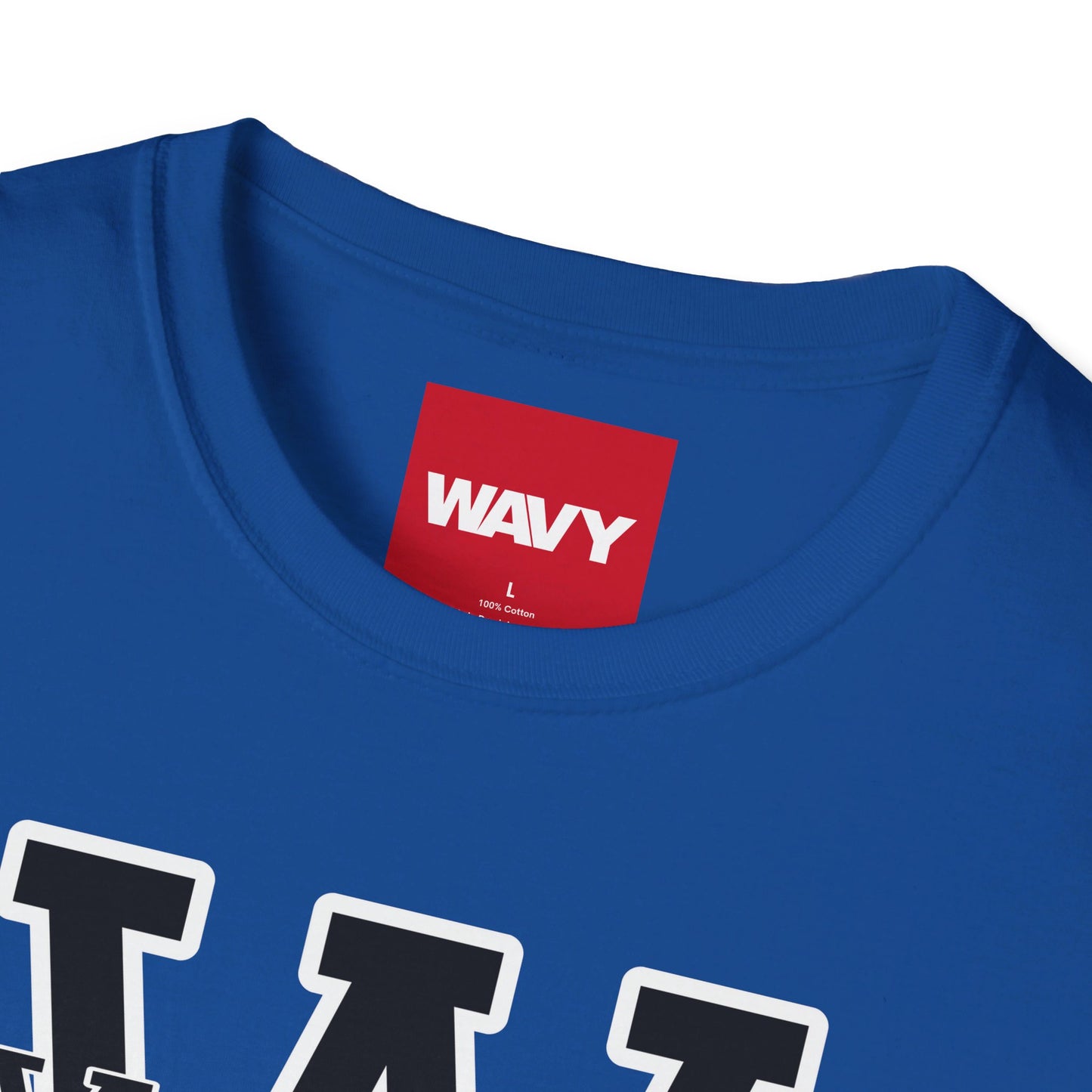WAVY Brand University Banner Womens Crewneck Tee